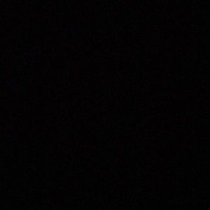 Meet your Posher, Avisha